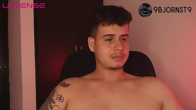 BjornSteel webcam