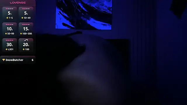 evazul webcam