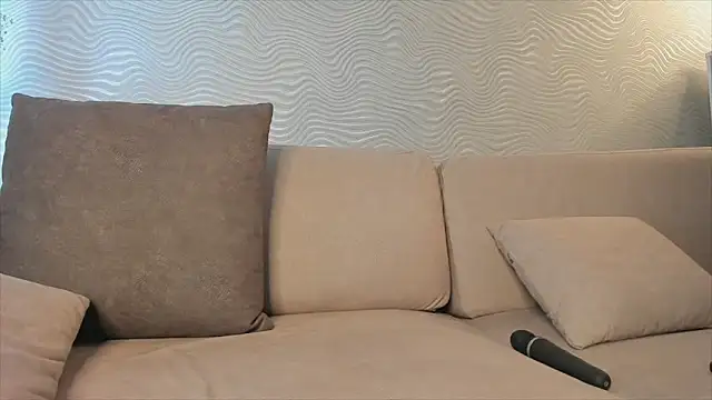 SageFrommer webcam