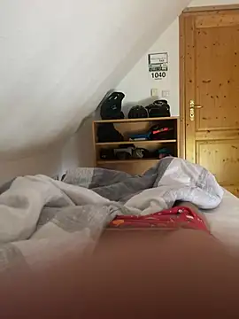 hannes256102 webcam