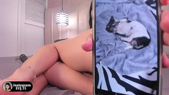 avy_st webcam