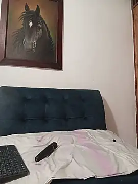IsisBlake webcam