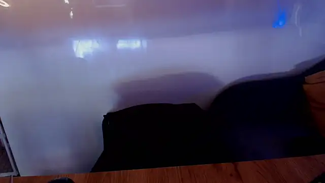 welliza webcam