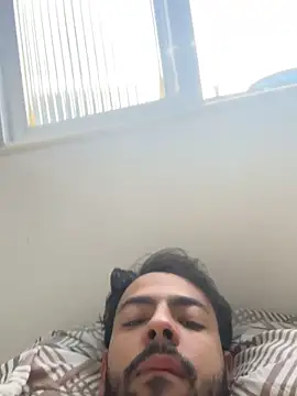 artzin2334 webcam