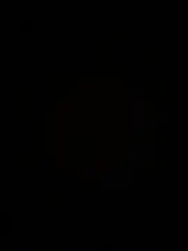 maniackle webcam