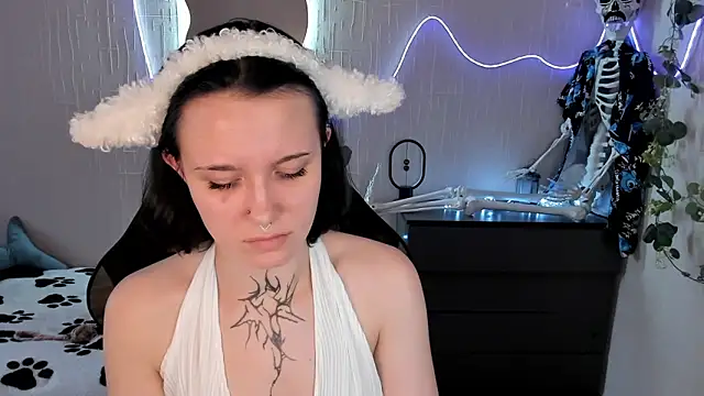 Elastikisss webcam