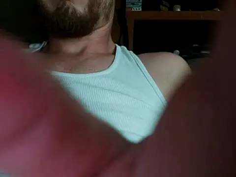 Dingo417 webcam