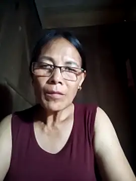 toyo_668 webcam