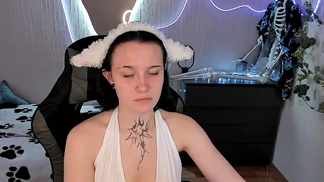 Elastikisss webcam