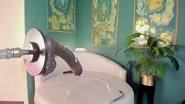 SofiaRousel webcam