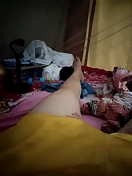 -Tara-a webcam