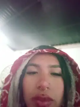 MeelFox webcam