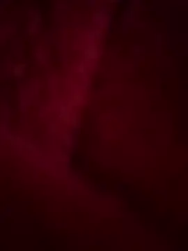 SelineVelvet webcam