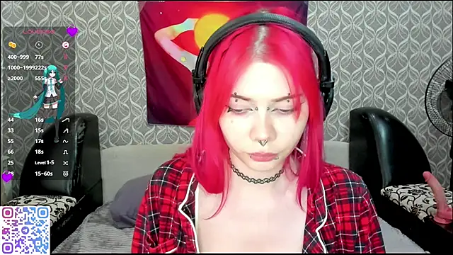 Veldenga webcam
