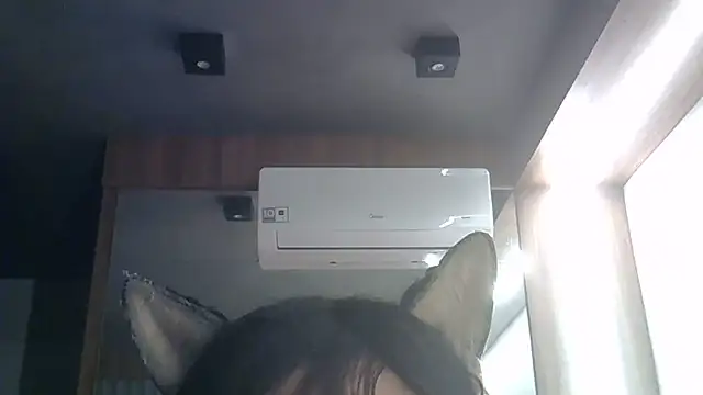 SkinnyKitten webcam