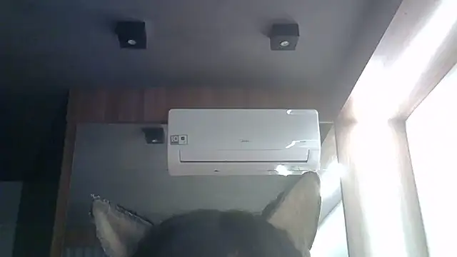 SkinnyKitten webcam