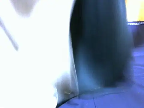 Laree_booby webcam