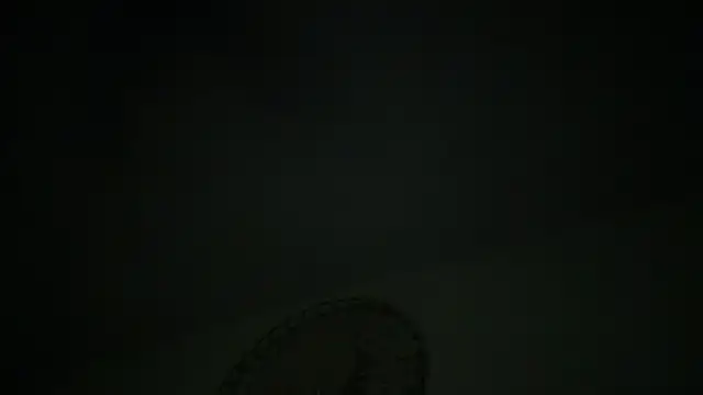 KungFuPanda001 webcam