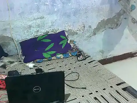 ROCOGUJUBULL webcam