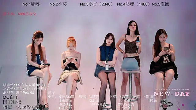 NEW-DAY live cam