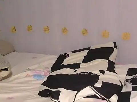 Dic_star webcam