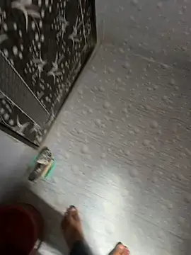 NoddingScorpion webcam