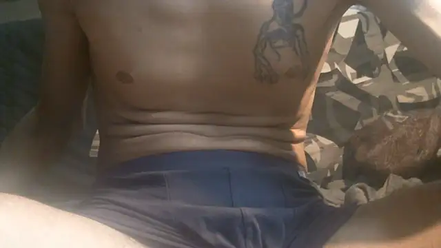 Ash59055 webcam
