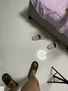 L7D8521 webcam