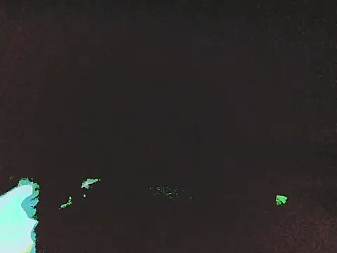 DripDiva webcam