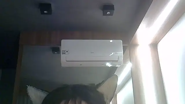 SkinnyKitten webcam