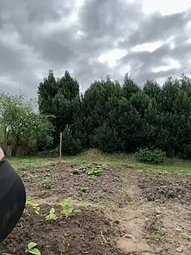 Viola_Beck