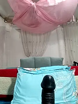 MilkShow webcam