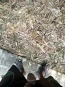 shektiwari live cam