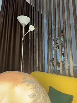 LittleFox___ webcam