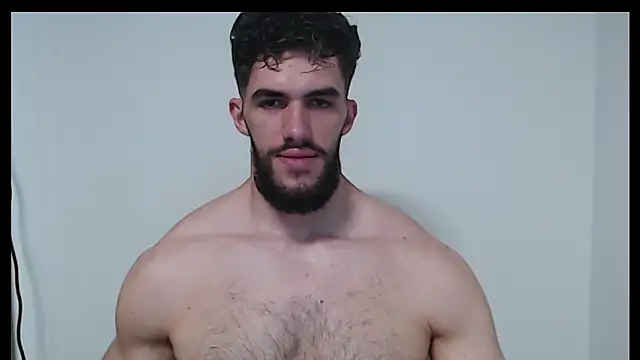 hiddenf webcam