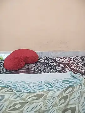 MeenuBhabhi547 webcam