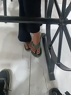 hidden web cam WildloveDuo