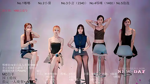NEW-DAY live cam