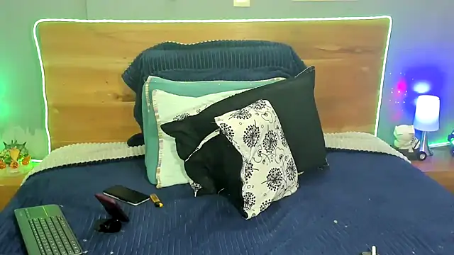 Prometeo-grizzly webcam