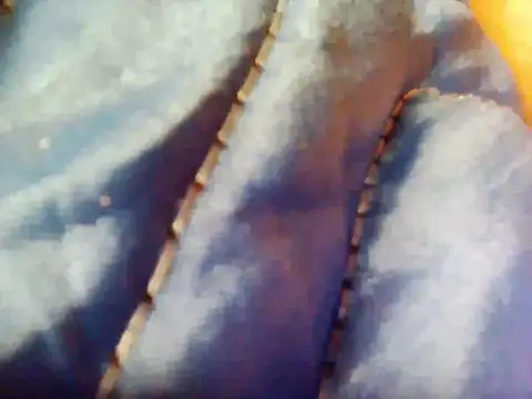 Swapurcrm webcam