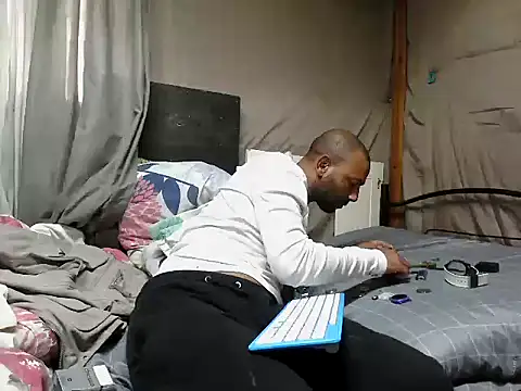 Camodick webcam
