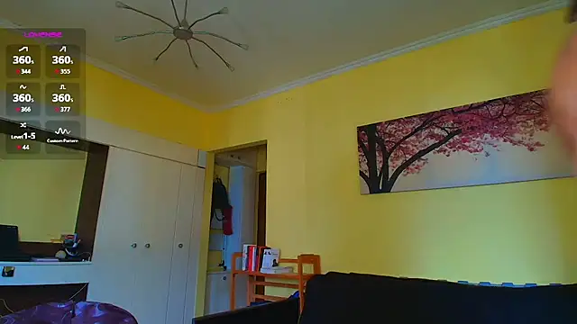 HungEddy webcam
