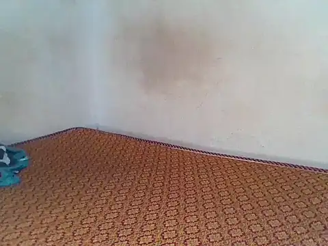 Mankofane webcam