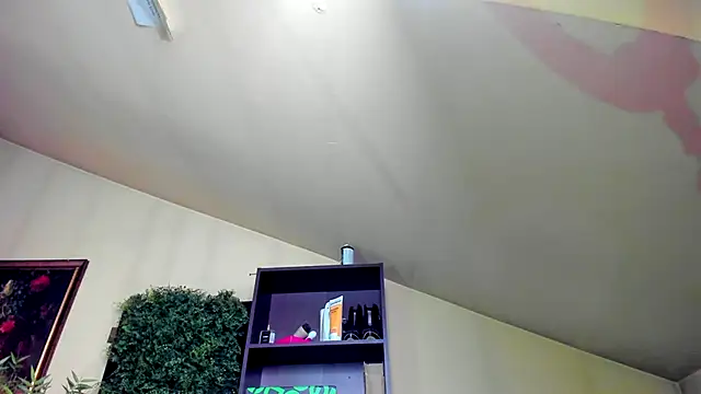 nicolepalmer