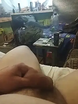 Kranik210 webcam