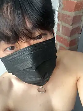 min9811