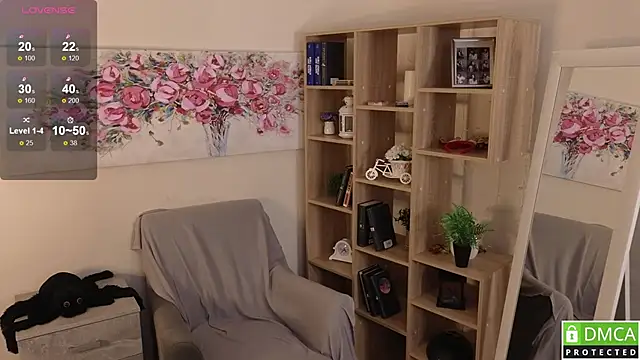 Sue_Sanders webcam