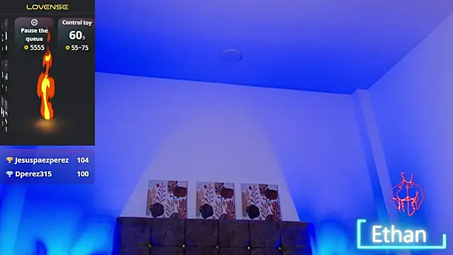 Ethan_Briggs_ webcam