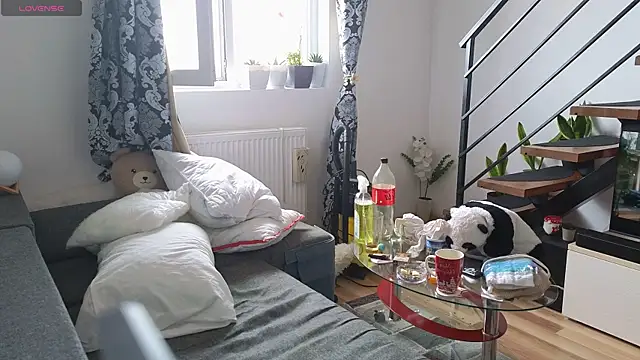 RyanStorm_ webcam