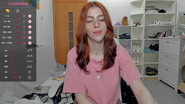 broosnica1 webcam